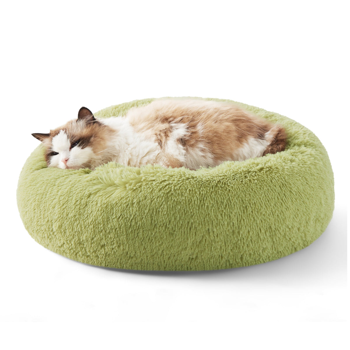 Pet Bed