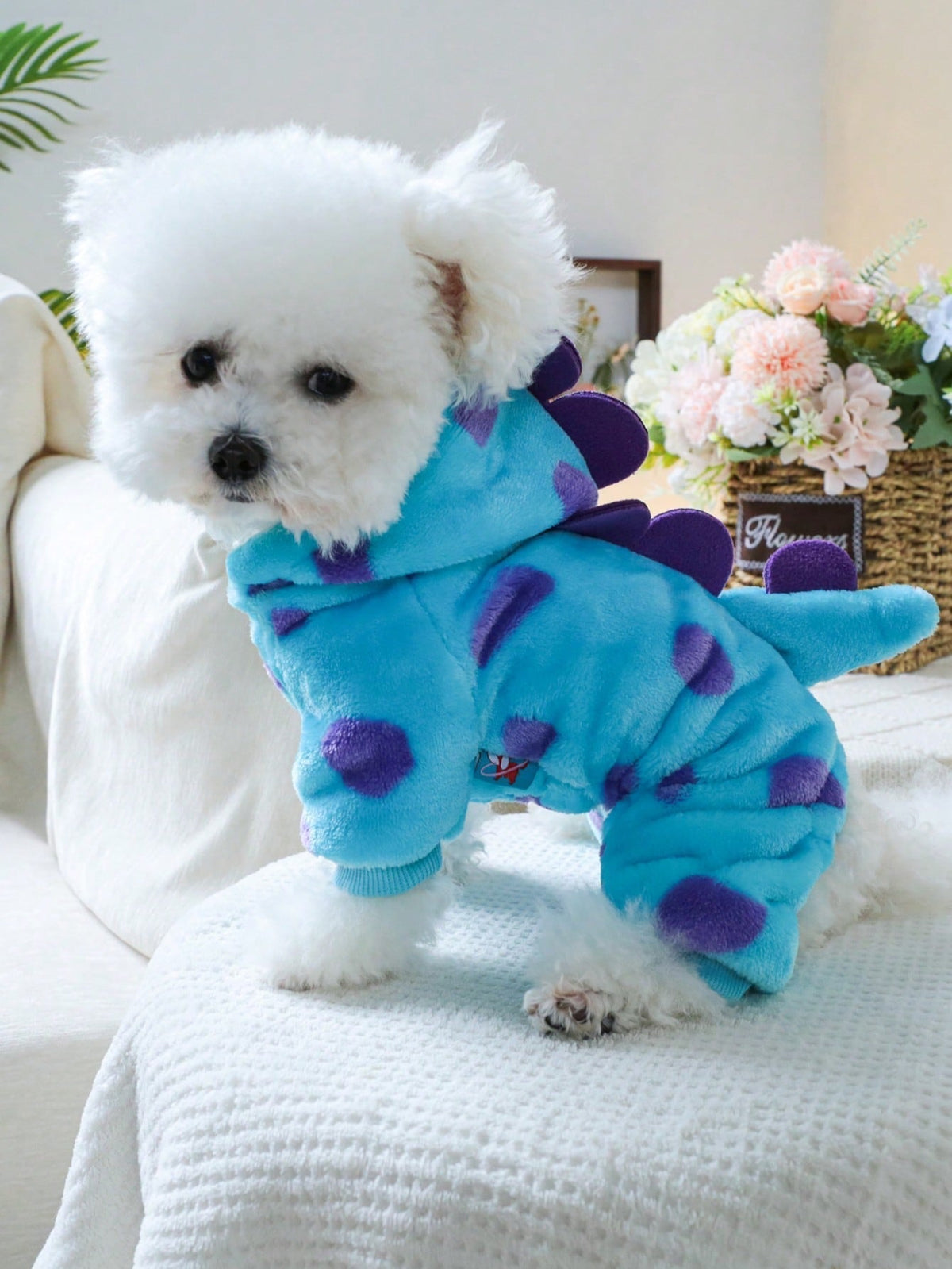 Pet Clothes