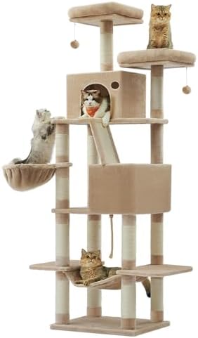 Cat Tree