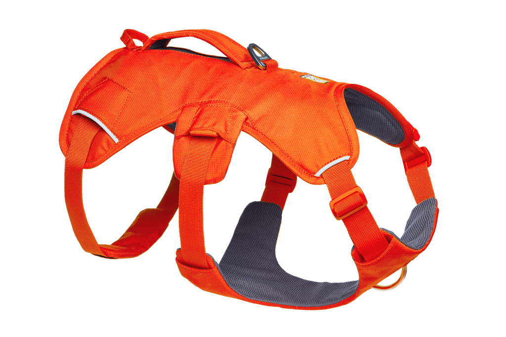 Web Master™ Dog Harness with Handle