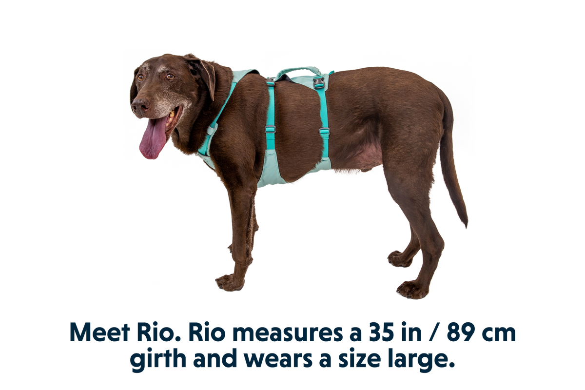 Flagline™ Dog Harness with Handle