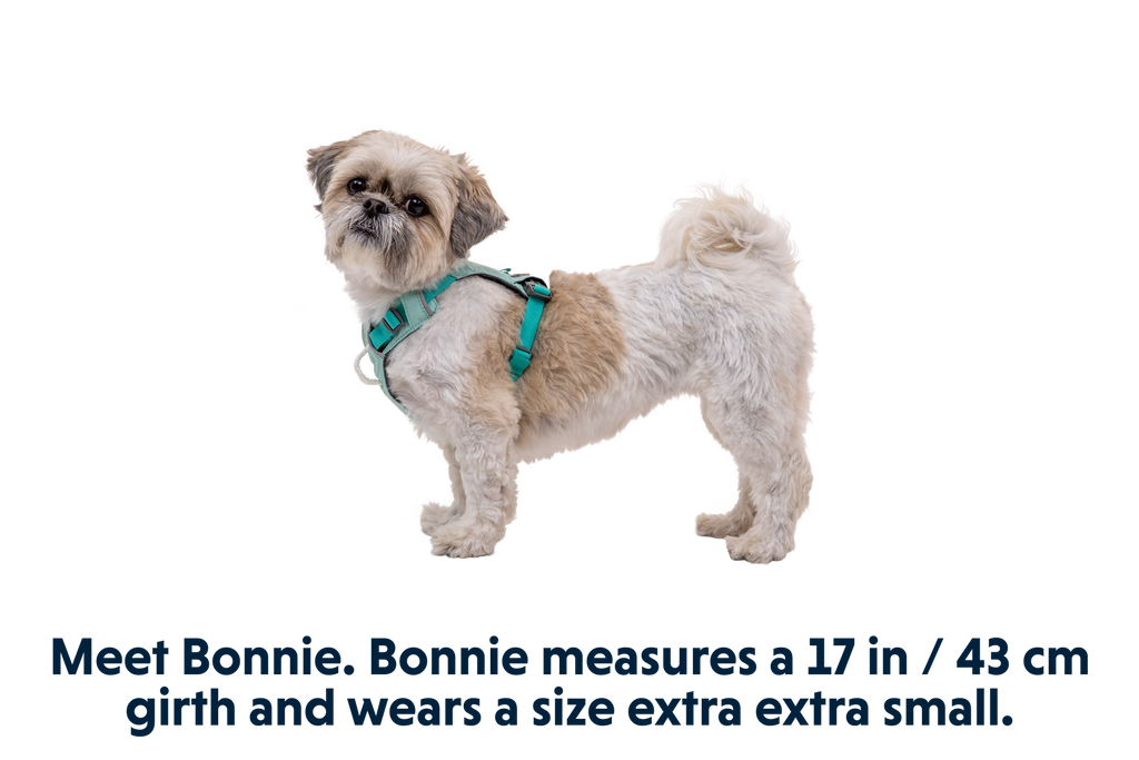 Hi & Light™ Lightweight Dog Harness