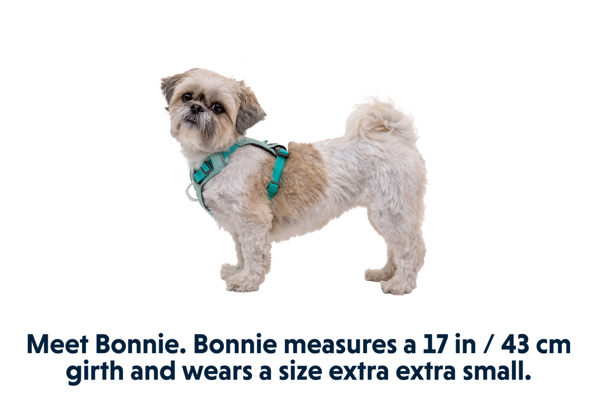 Hi & Light™ Lightweight Dog Harness