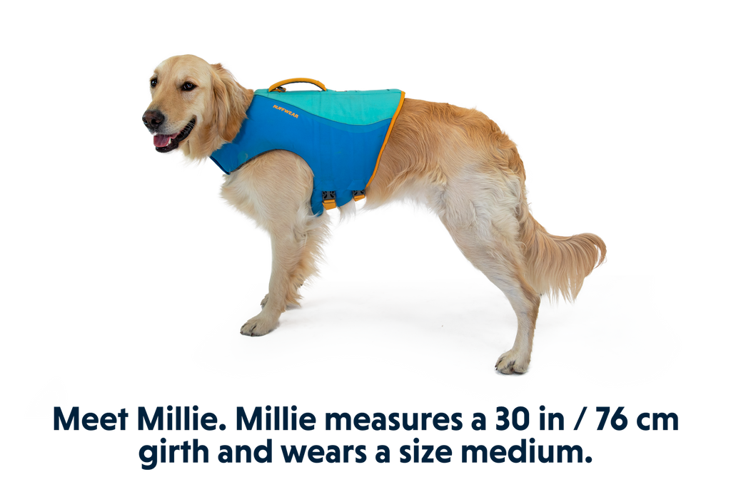 Float Coat™ Dog Life Jacket