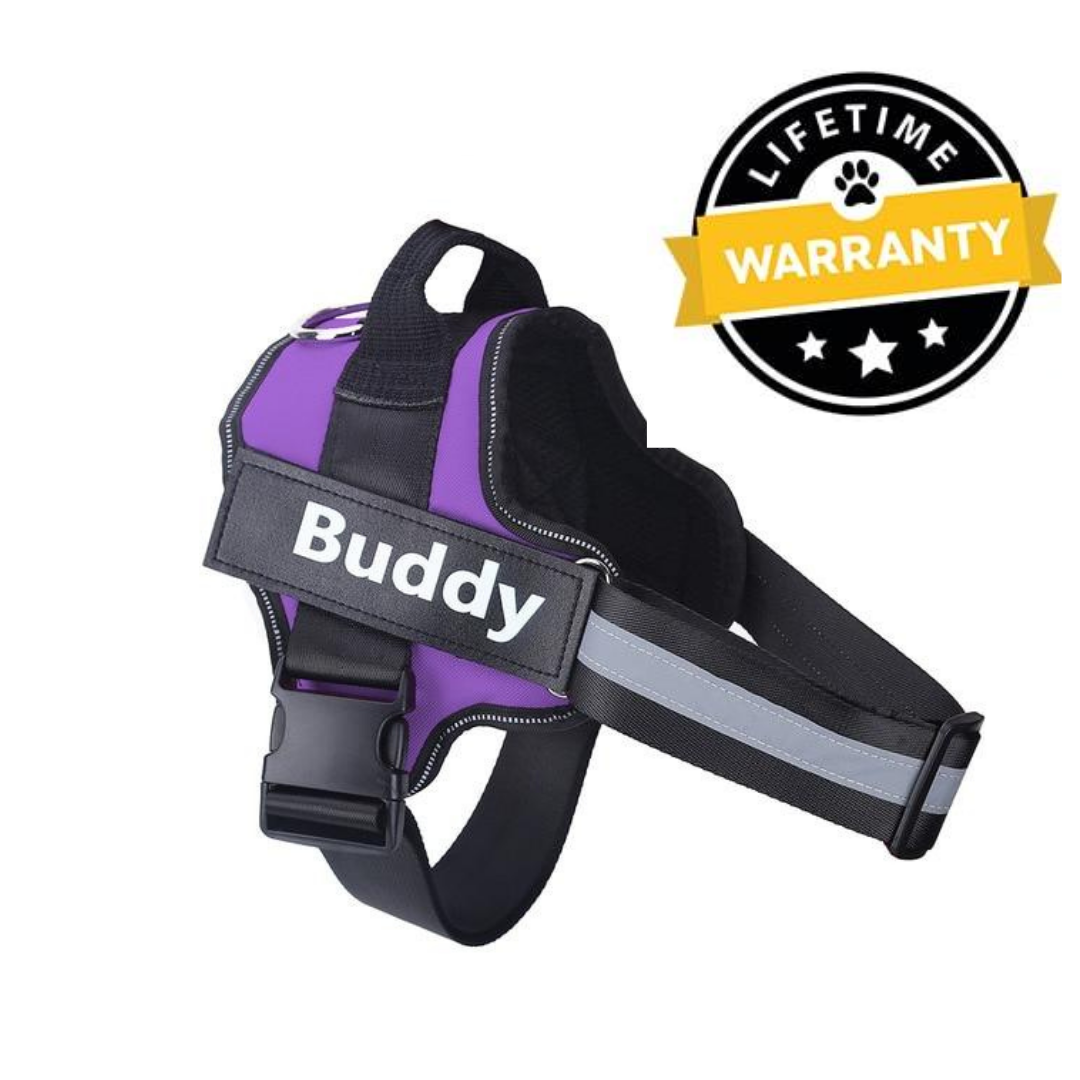 No Pull Dog Harness Australia | Easy On/Off in 2 Seconds