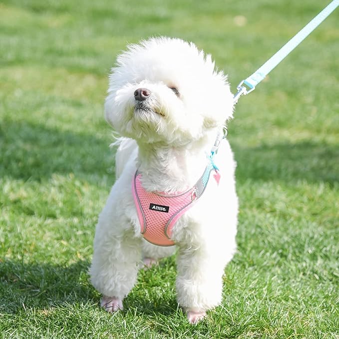AIITLE Escape Proof Dog Harness