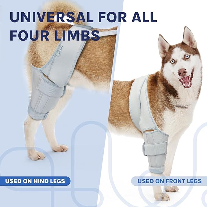 Dog Knee Brace for Torn ACL, Rear Leg Support for Joint Pain Relief and Ligament Injuries, Silver, XL