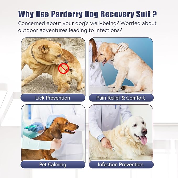 Dog Recovery Suit for Surgery Dog Onesie for Female and Male E-Collar Alternative Anti Shedding Pajamas Long Sleeve Claming Bodysuit Gray XL
