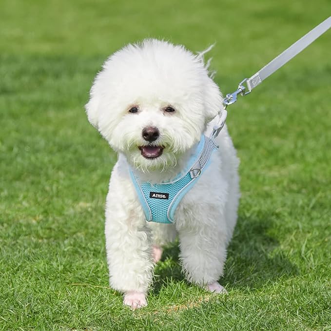 AIITLE Escape Proof Dog Harness