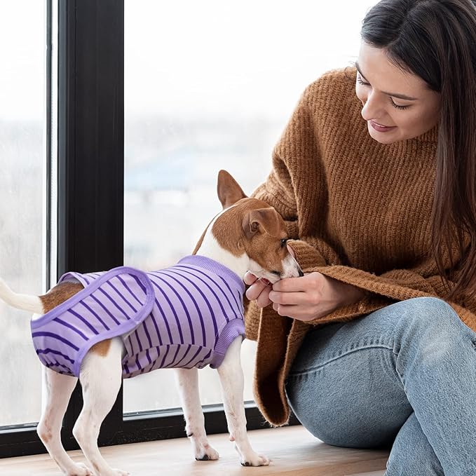 Dog Recovery Suit, Surgical Recovery Suit for Male Female Dogs Cats Spayed Onesie After Surgery, Dog Post Surgery Suit Anti Licking & Biting Surgical Shirt with Pee Hole，Purple Medium