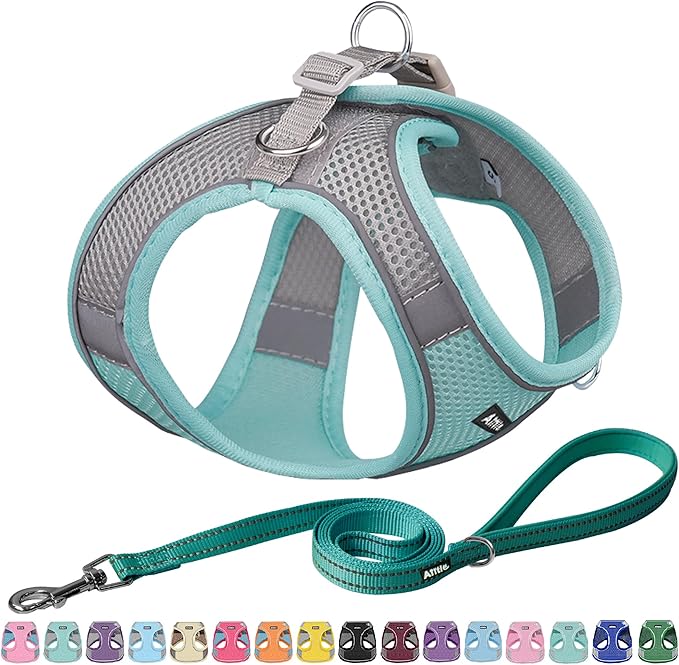 AIITLE Escape Proof Dog Harness