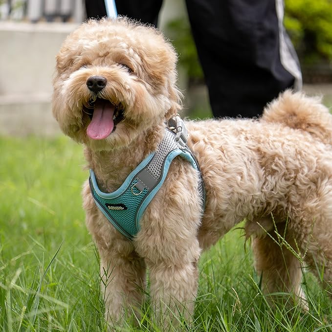 AIITLE Escape Proof Dog Harness