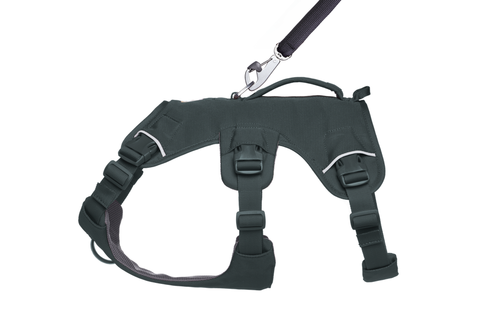 Web Master™ Dog Harness with Handle