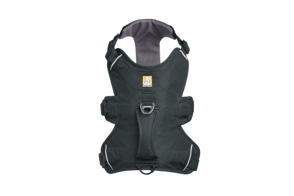 Web Master™ Dog Harness with Handle
