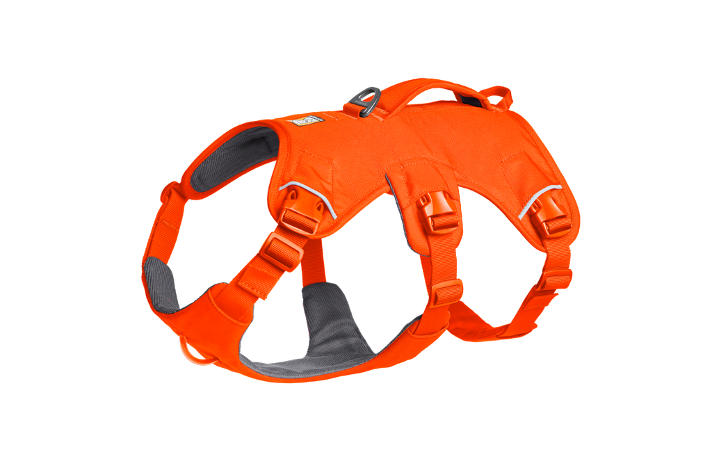 Web Master™ Dog Harness with Handle