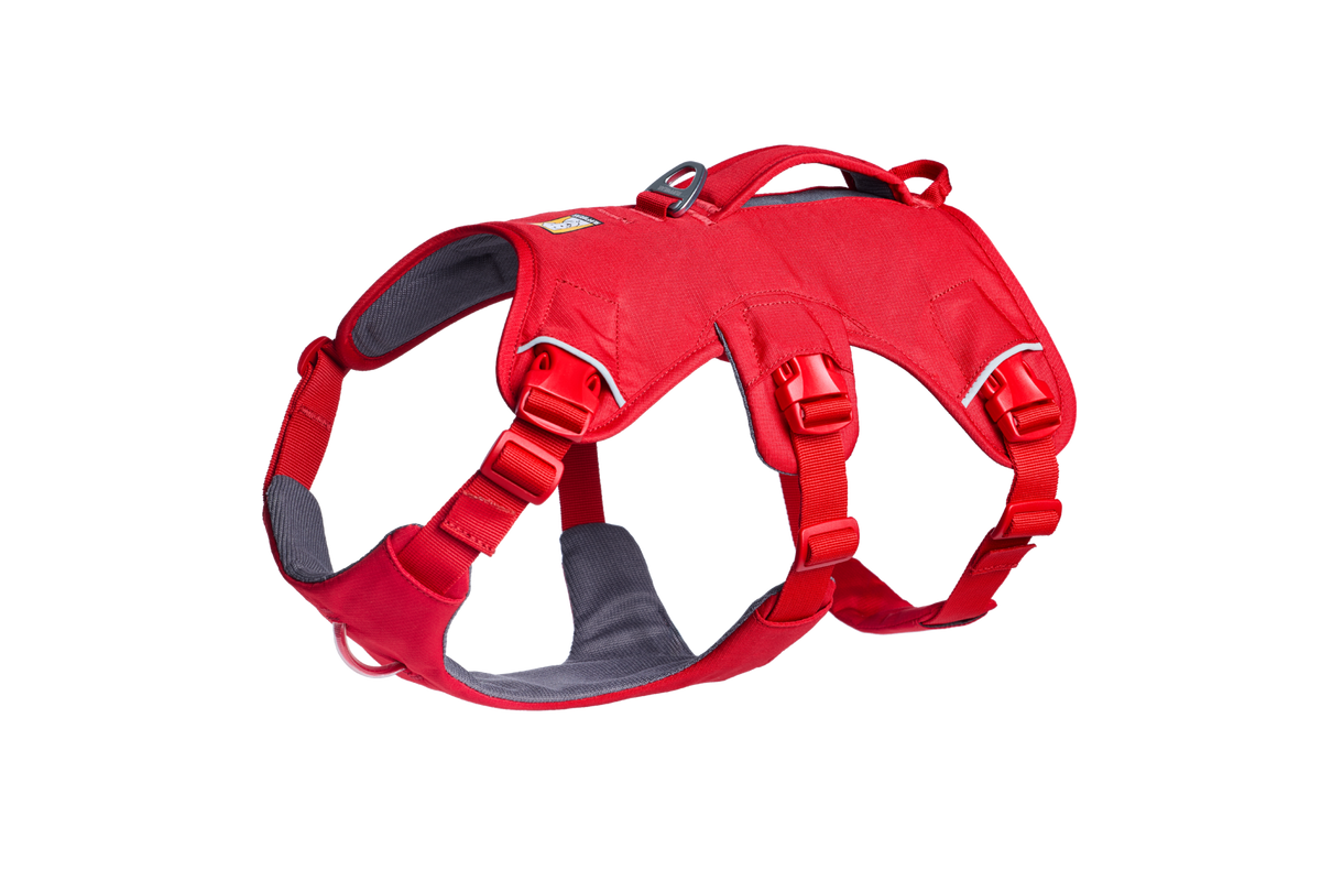 Web Master™ Dog Harness with Handle
