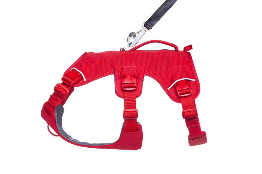 Web Master™ Dog Harness with Handle