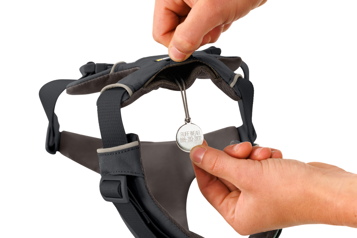 Front Range® Harness