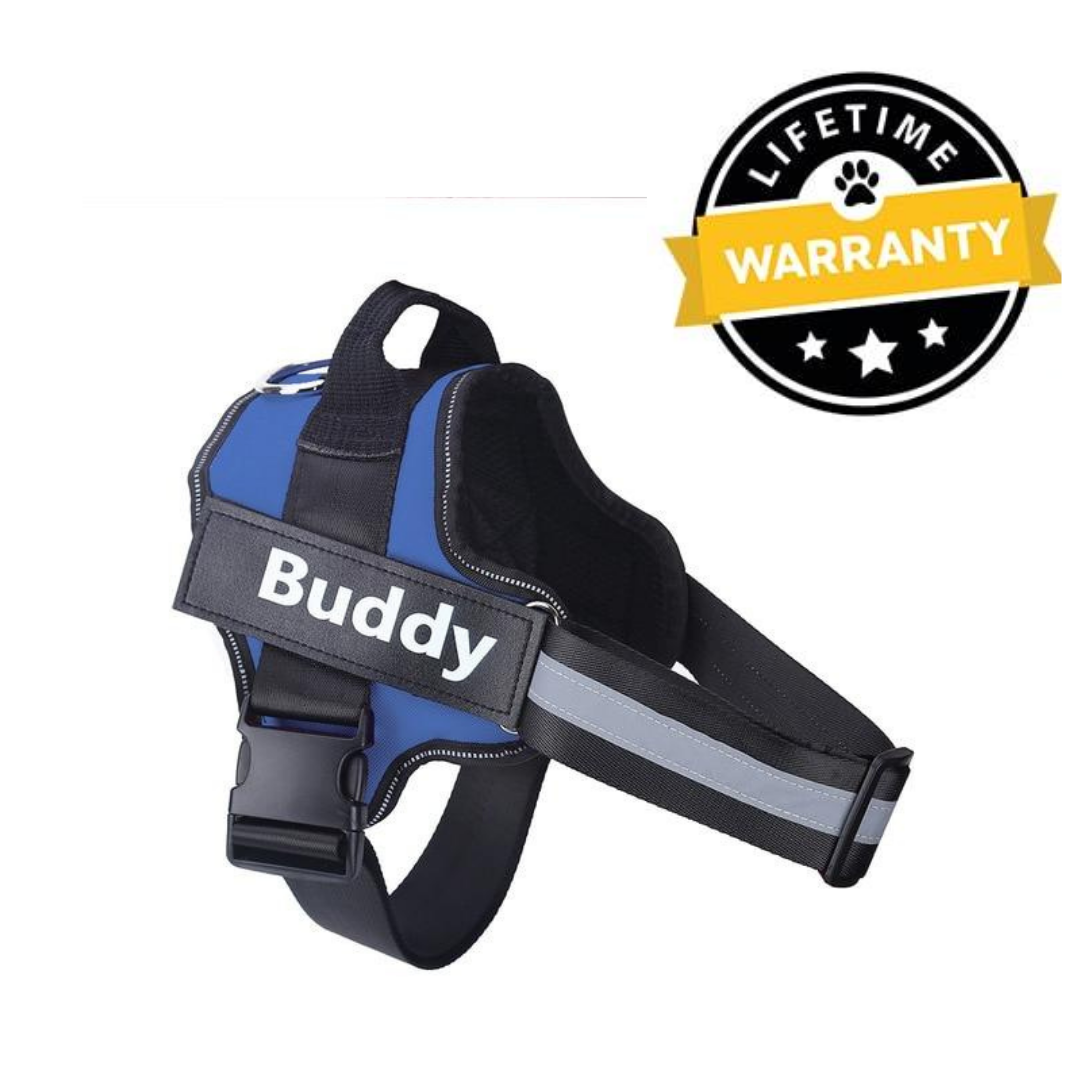 No Pull Dog Harness Australia | Easy On/Off in 2 Seconds