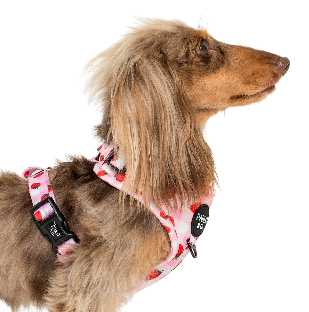 Strawberry Fields: Adjustable Harness