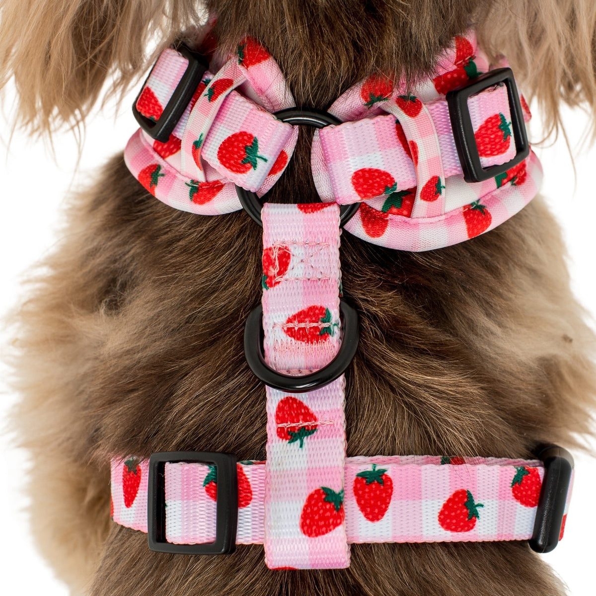 Strawberry Fields: Adjustable Harness