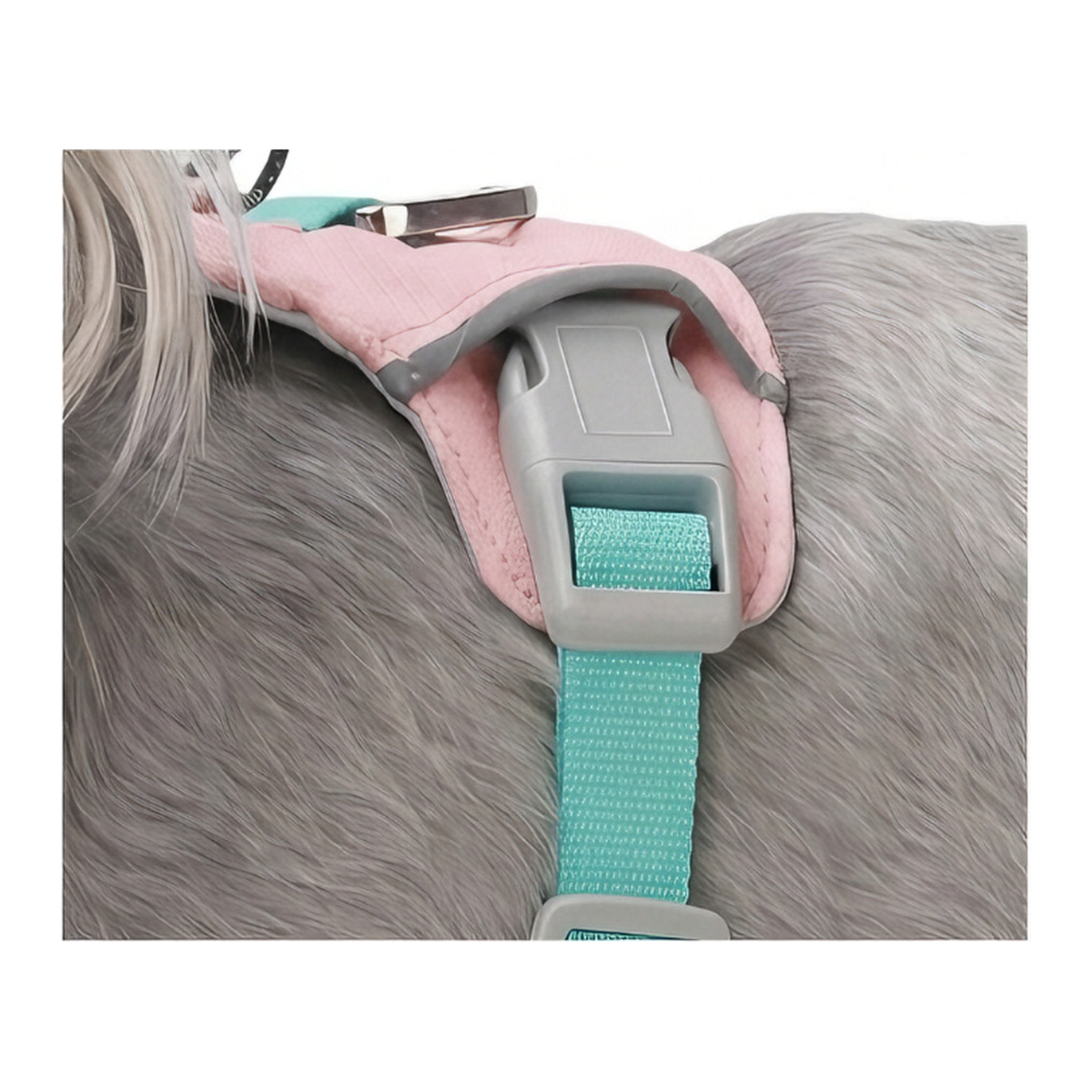 Cloud-Lite™ Dog Harness