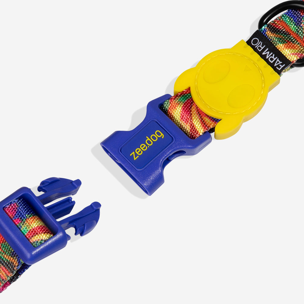 Samba | Collar