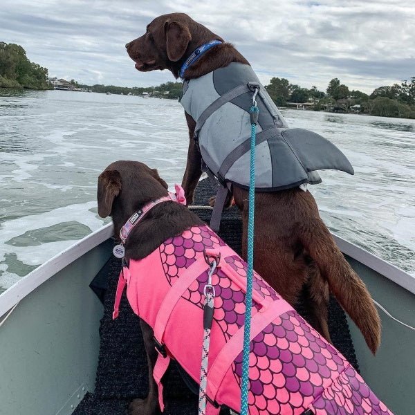 Shark Dog Life Jacket
